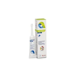 Candioli Actea Oral Gel Stomatologico 15 Ml