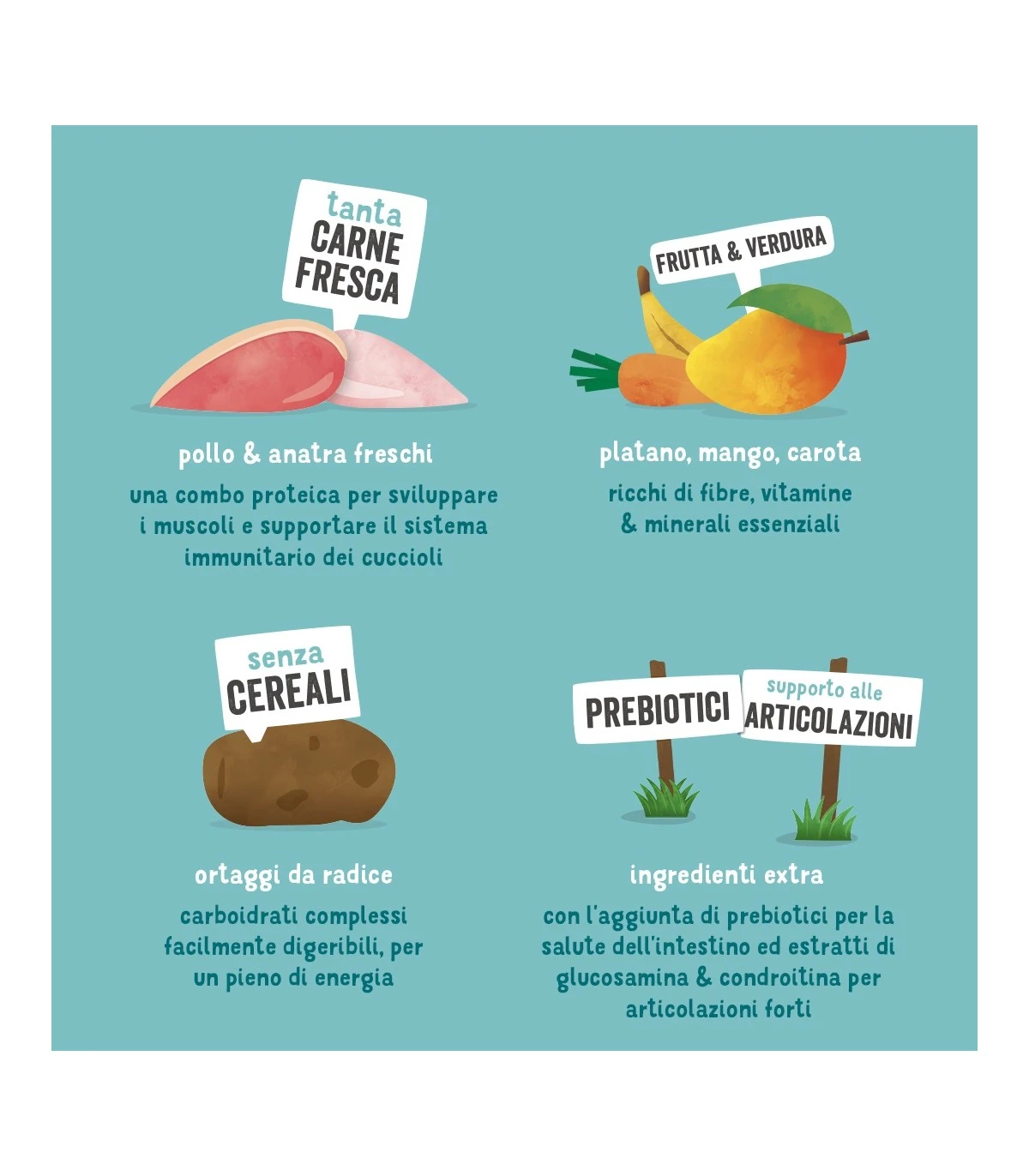 Edgard & Cooper Puppy Carne Fresca Di Anatra E Pollo Allevati A Terra Senza Cereali 7 Kg - immagine 7