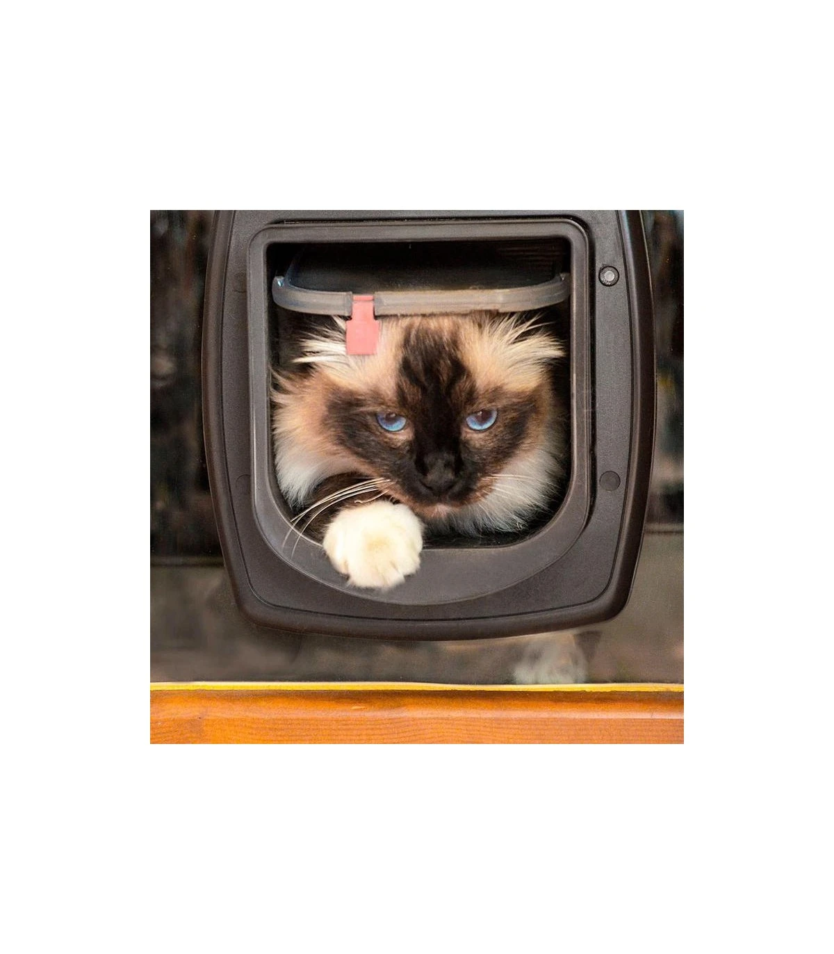 Ferplast Swing Microchip Marrone - immagine 4