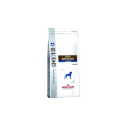 Royal Canin Gastro Intestinal Junior Cane 10 Kg