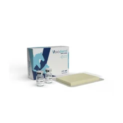 Vexoderm Sterile Dressing 10 X 7 Cm