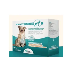 Youact Entero 30 Bustine